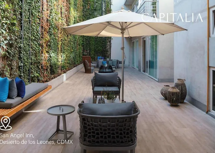 Capitalia Peaceful In Southern Cdmx With Gym 103