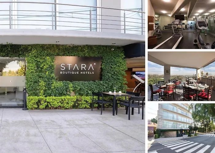 Capitalia Peaceful In Southern Cdmx With Gym 103 *